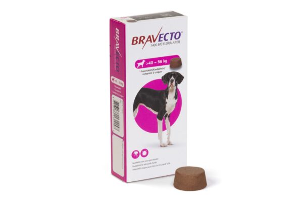 Bravecto 40 - 56 kg Köpekler için Dış Parazit Tablet 1400mg